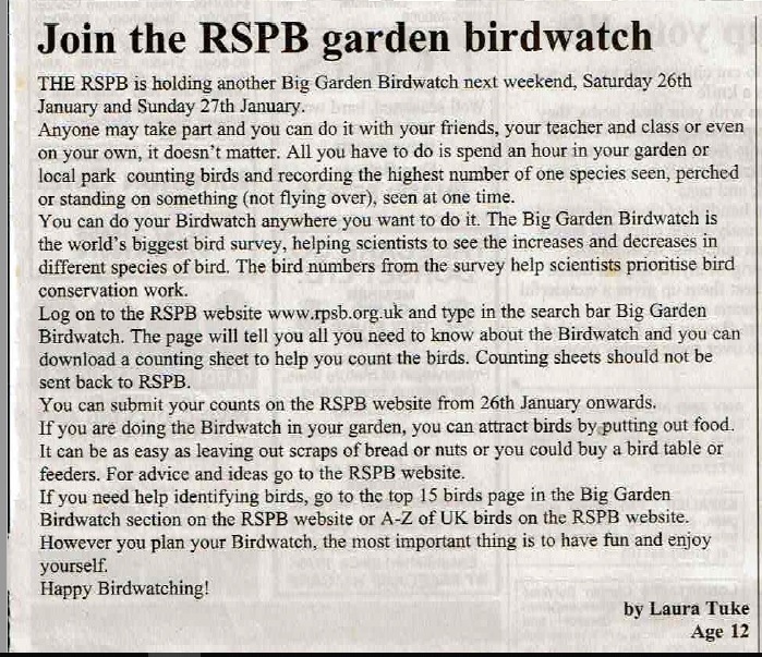 big garden birdwatch article