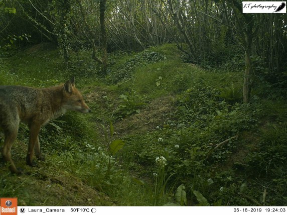 M2E43L126-126R396B311