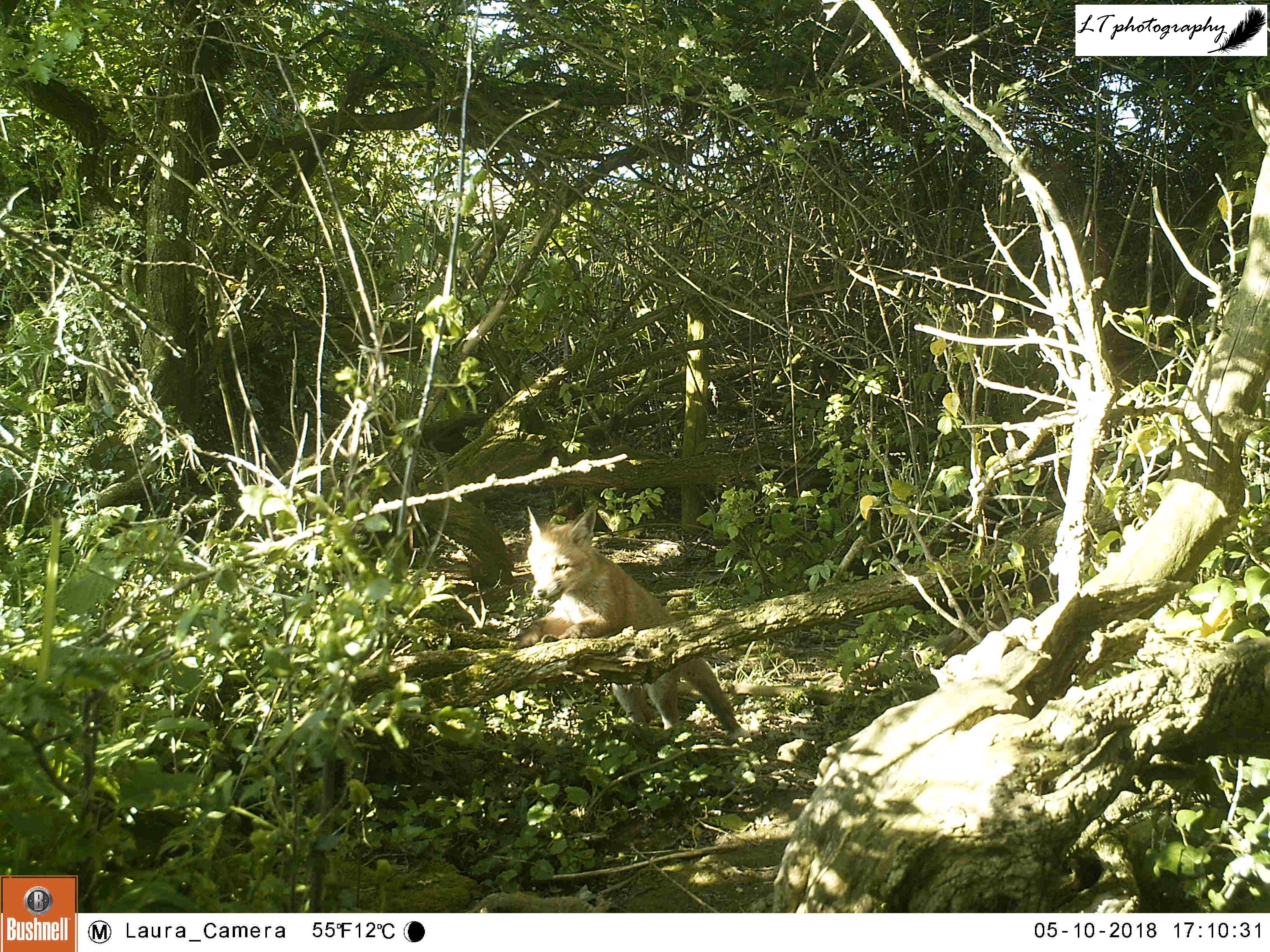 M2E52L162-162R389B314