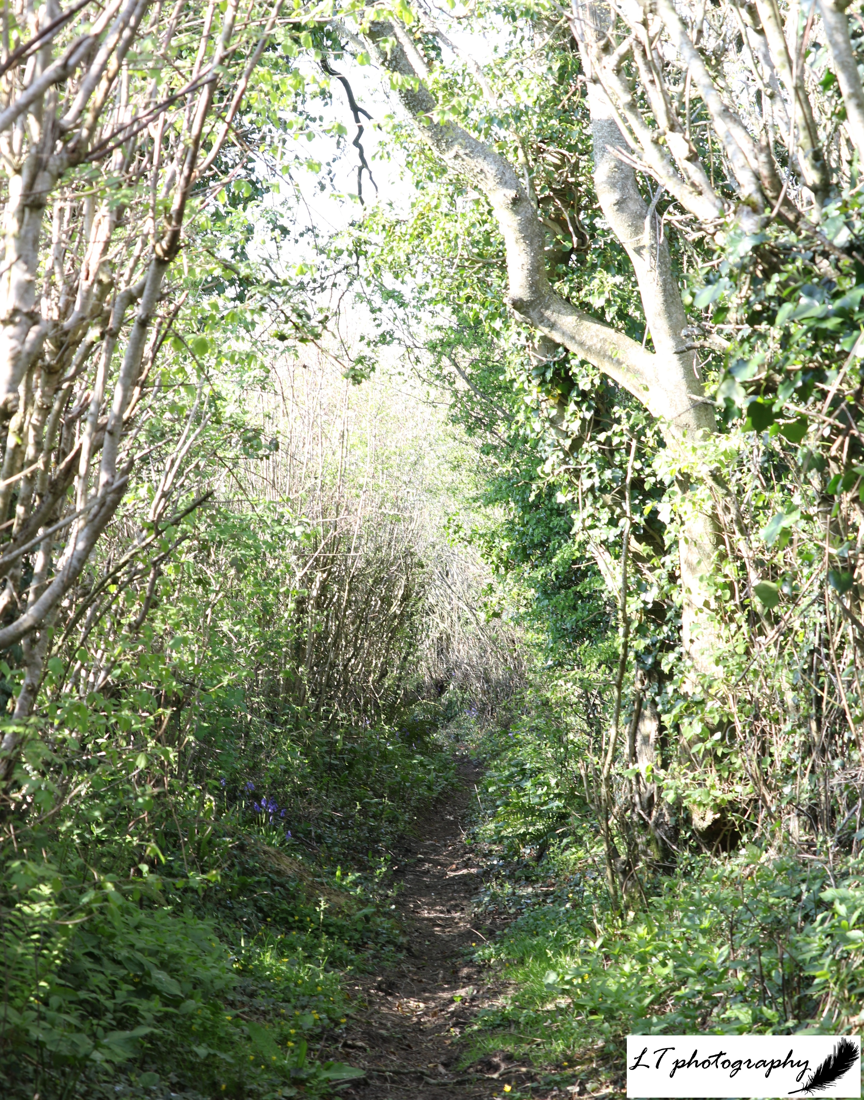 16_04_20_Farm_Badger_Alley_5