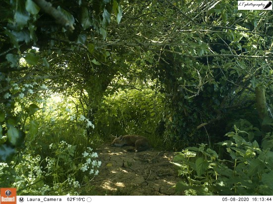 M2E54L167-167R388B312