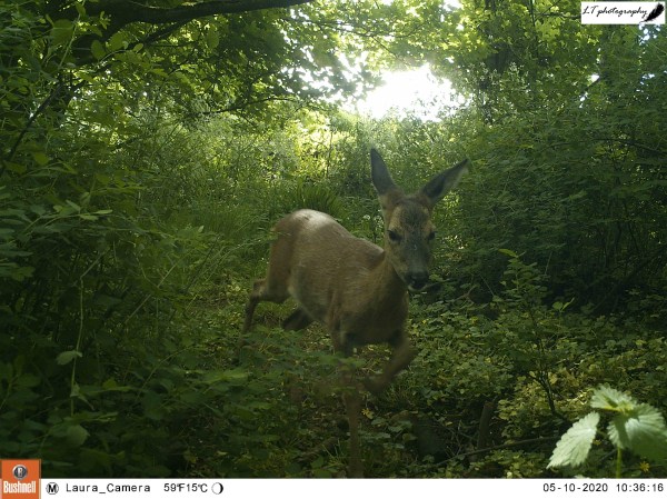 M2E51L160-159R390B314