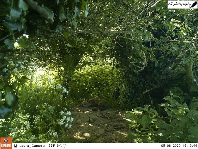 M2E54L167-167R388B312