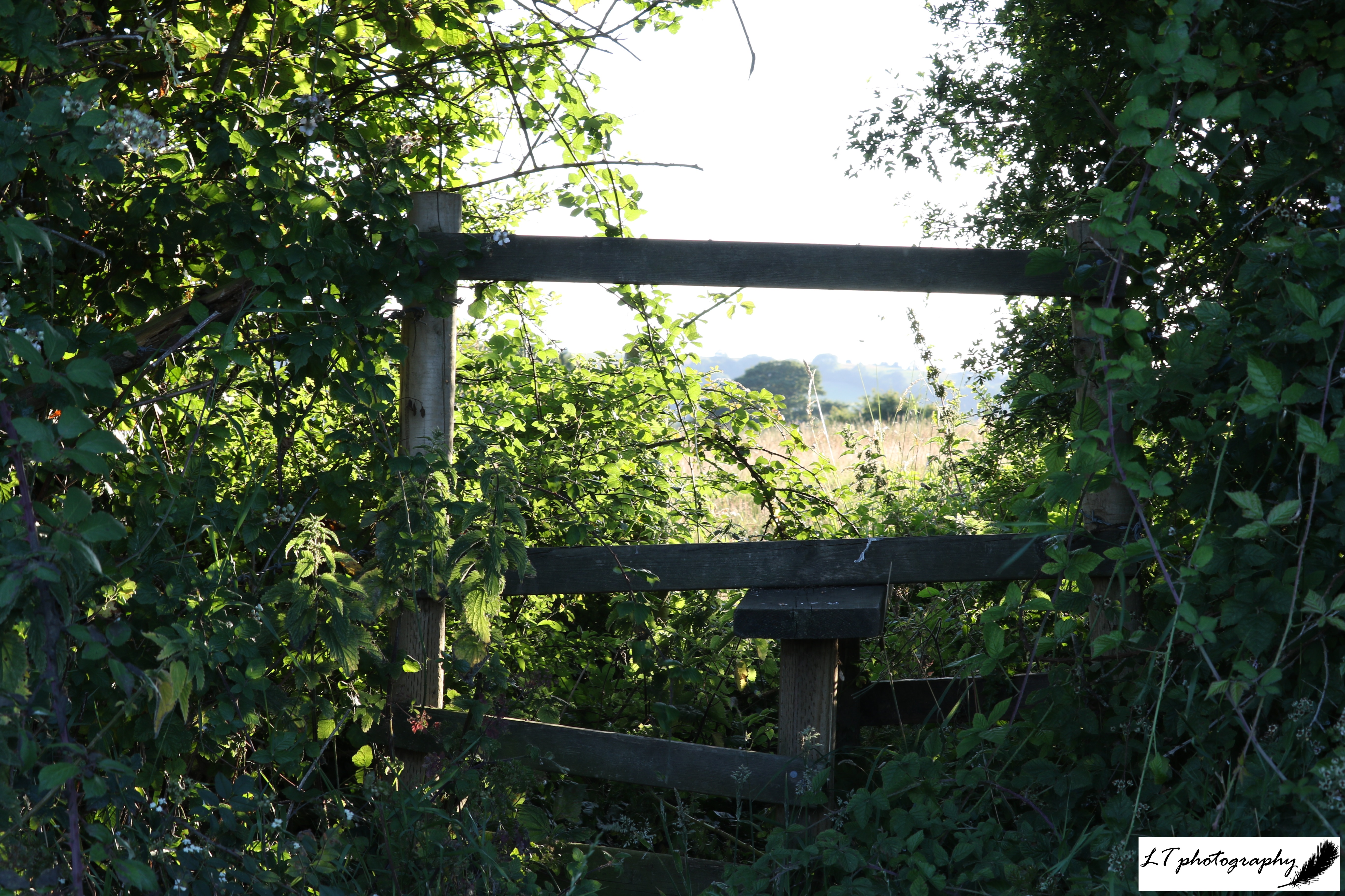 22_07_20_Farm_Gill_Hill_Stile